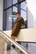 Пальто Delcorso Luxury 1089_DF Khaki-Vichy 9 mini